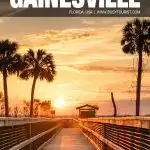 fun things to do in Gainesville