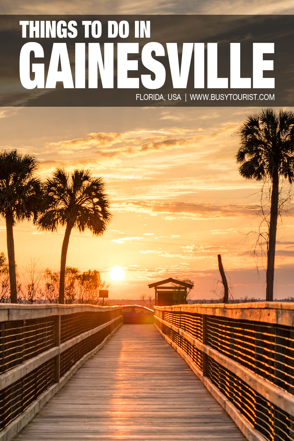 21 Fun Things To Do In Gainesville, Florida Busy Tourist