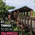 fun things to do in Tallahassee