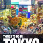 fun things to do in Tokyo