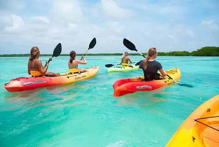 kayak tour