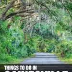 things to do in Gainesville