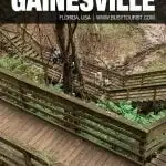 things to do in Gainesville