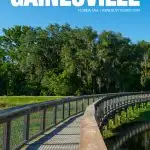 things to do in Gainesville