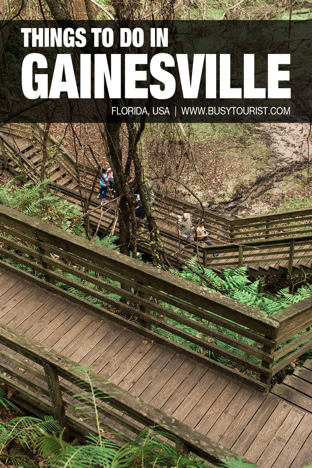 21 Fun Things To Do In Gainesville, Florida Busy Tourist