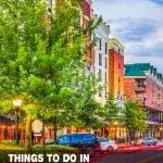 things to do in Gainesville, FL