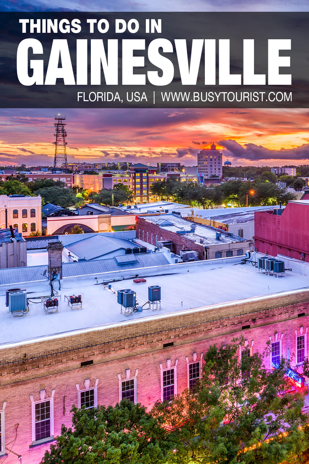 21 Fun Things To Do In Gainesville, Florida Busy Tourist