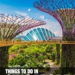 things to do in Singapore