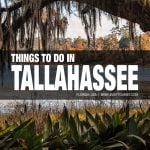 things to do in Tallahassee