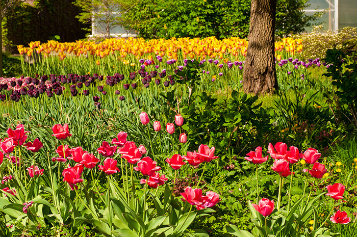 Cleveland Botanical Gardens