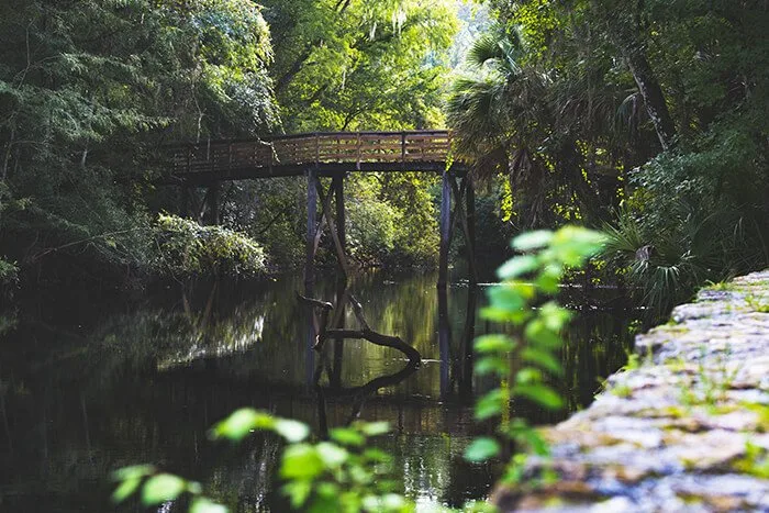 Hillsborough River State Park