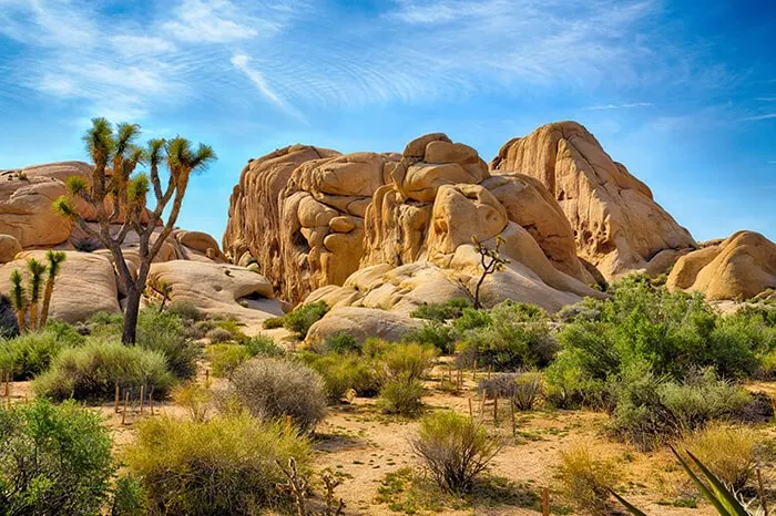 Joshua Tree National Park, California