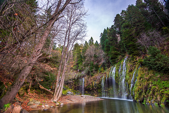 Mossbrae Fall, California