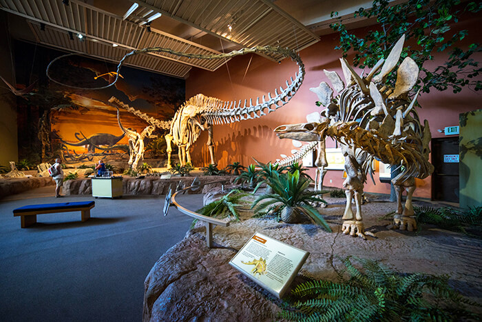 New Mexico Museum of Natural History and Science