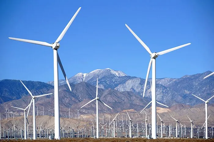 Palm Springs Windmill Tours