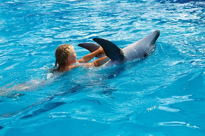 Swim with Dolphins