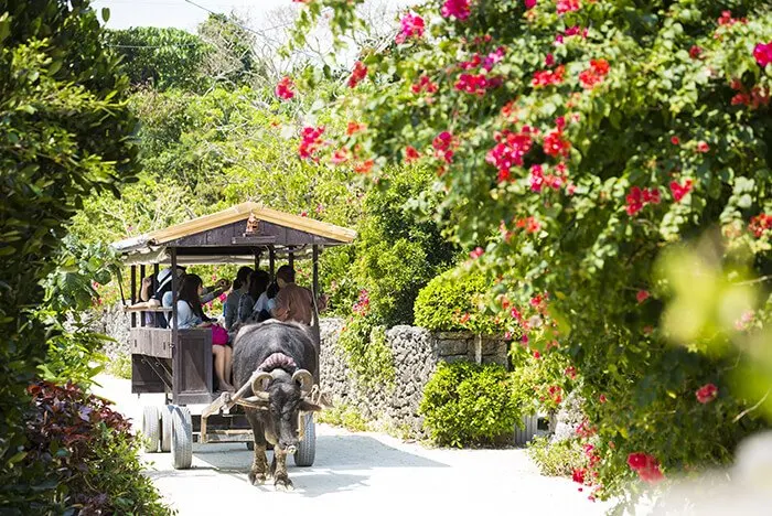 Taketomi Island