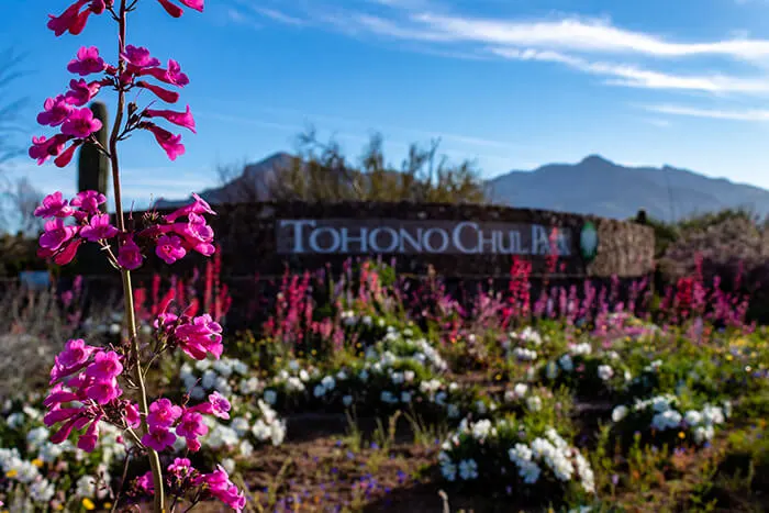 Tohono Chul Park