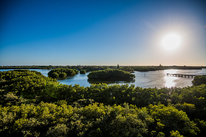 Weedon Island Preserve