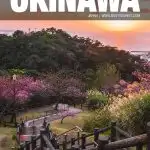 best things to do in Okinawa