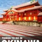 fun things to do in Okinawa