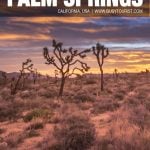 fun things to do in Palm Springs, CA