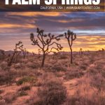 fun things to do in Palm Springs, CA