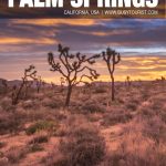 fun things to do in Palm Springs, CA