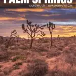 fun things to do in Palm Springs, CA