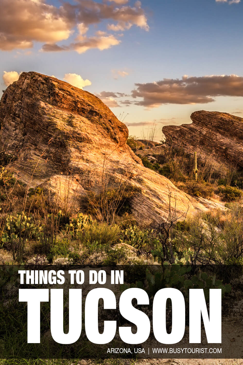 30 Best & Fun Things To Do In Tucson (AZ) Attractions & Activities
