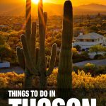 fun things to do in Tucson