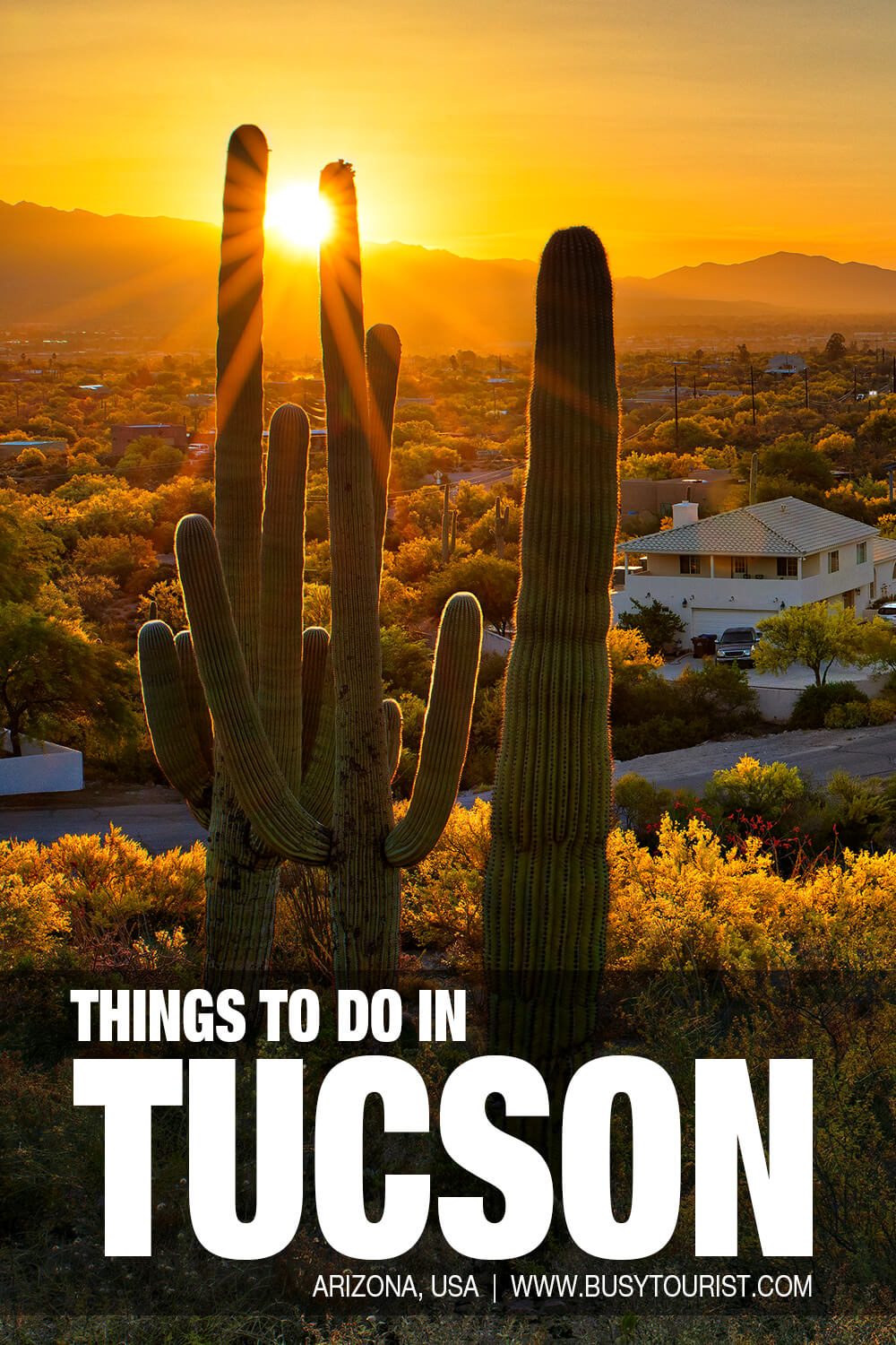 30 Best & Fun Things To Do In Tucson (AZ) Attractions & Activities