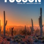 fun things to do in Tucson