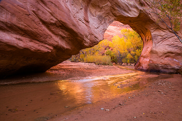 natural bridge arch 