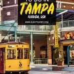 things to do in Tampa