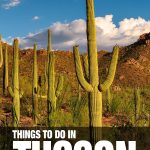 things to do in Tucson