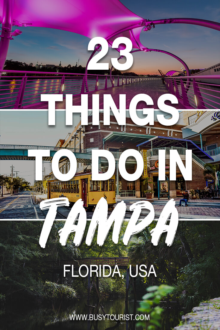 23 Best & Fun Things To Do In Tampa (FL) Attractions & Activities