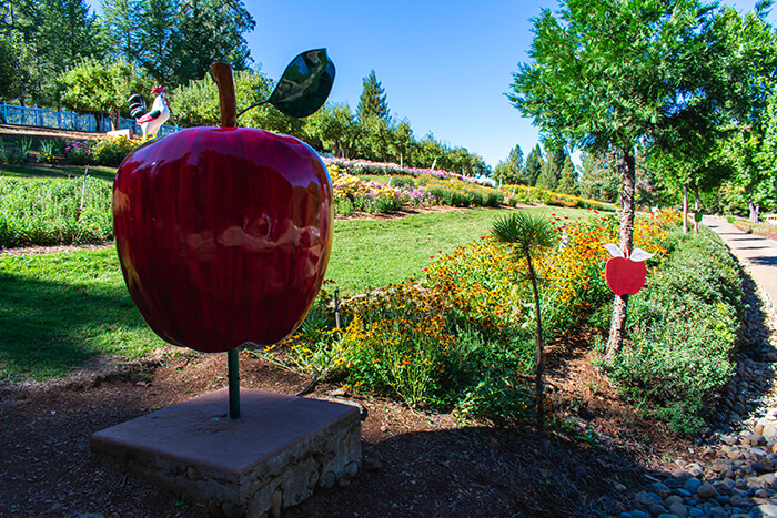 Apple Hill