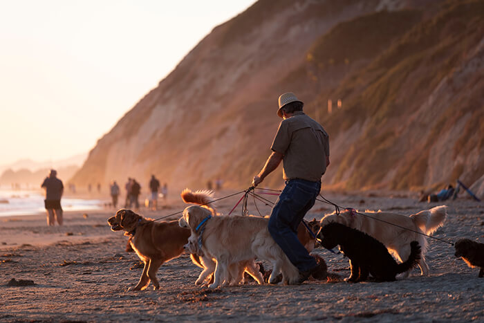 Arroyo Burro Beach Park