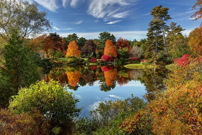 Asticou Azalea Garden