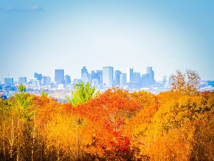 Blue Hills Reservation