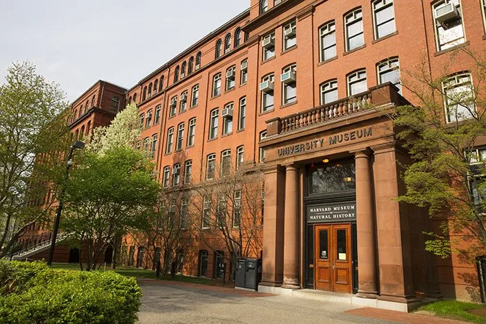 Harvard Museum of Natural History