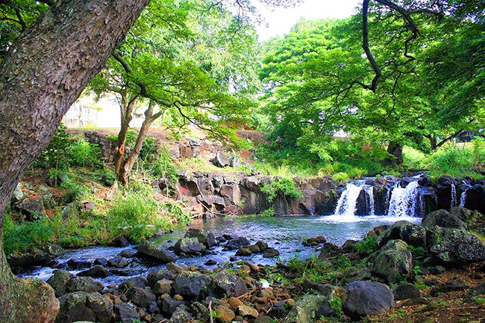 Honolulu Botanical Gardens