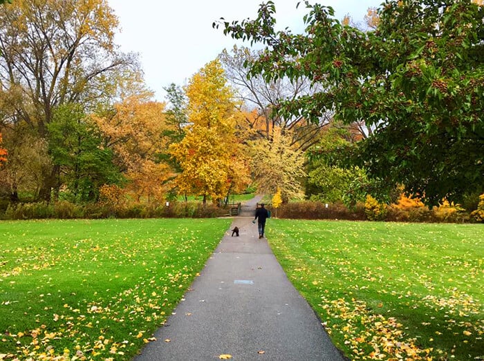 Lake Erie Arboretum at Frontier Park