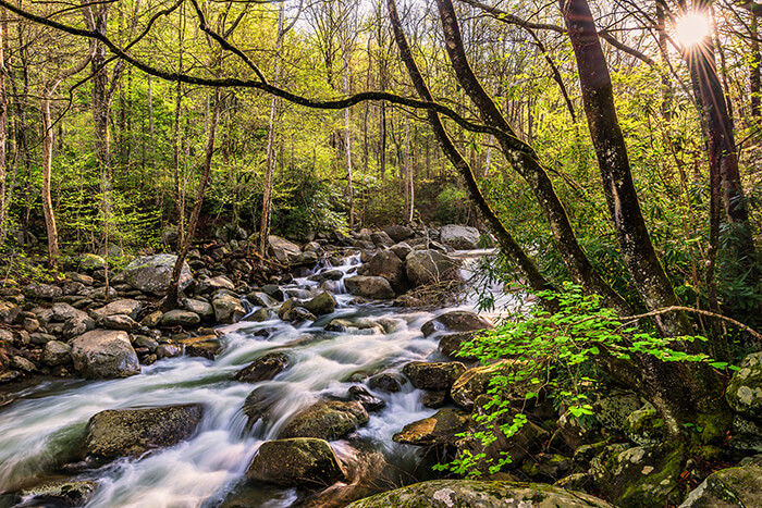 Little Pigeon River