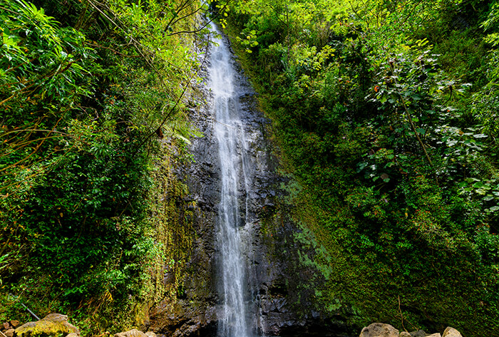 Manoa Falls