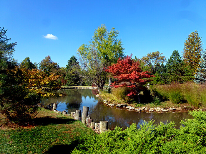 Mizumoto Garden Waterway