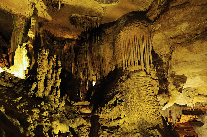 Raccoon Mountain Caverns