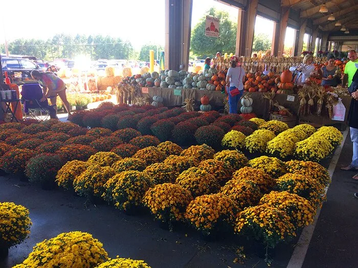 Raleigh Farmers Market