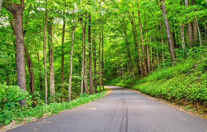 Roaring Fork Motor Nature Trail